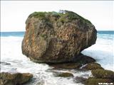 Pelicano Beach - ISABELA